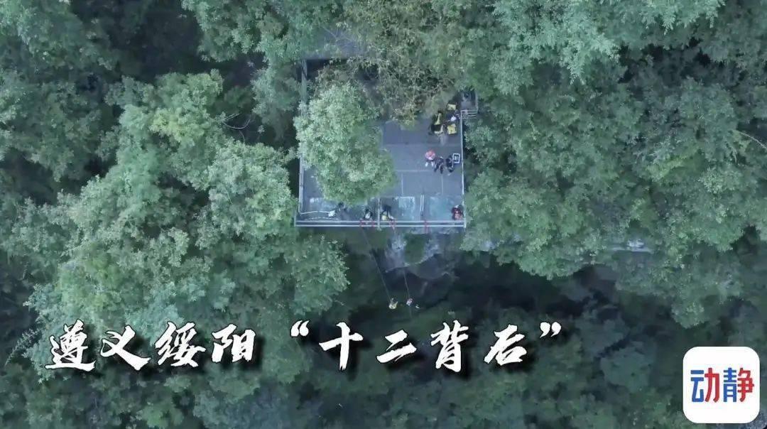 小猫钓鱼游戏龙王版有船