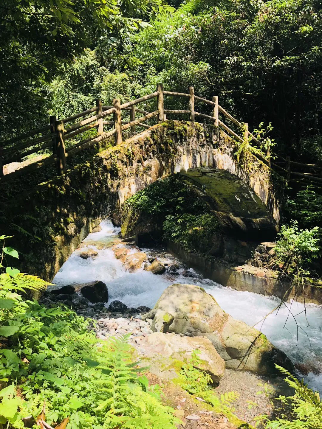 逃出漂亮花谷